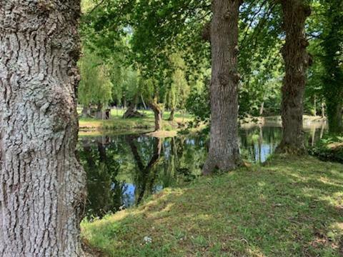 La Demeure Romantique Bazouges-sous-Hede Buitenkant foto