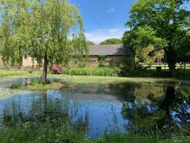 La Demeure Romantique Bazouges-sous-Hede Buitenkant foto