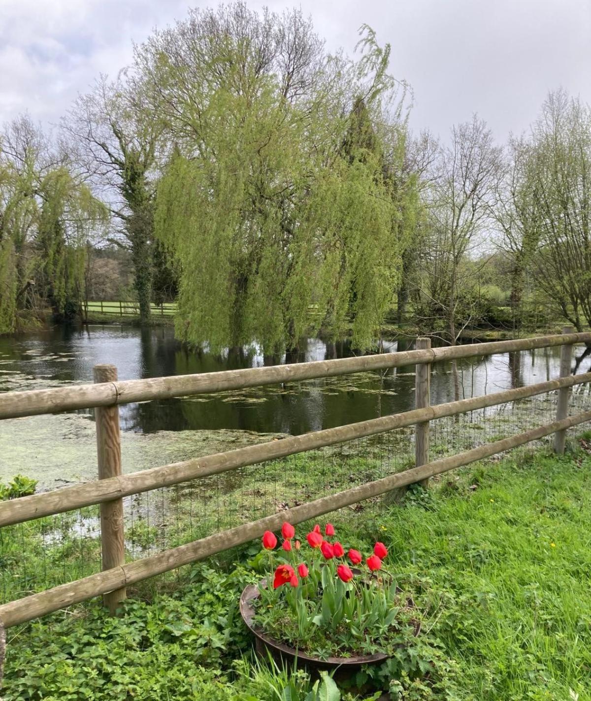 La Demeure Romantique Bazouges-sous-Hede Buitenkant foto